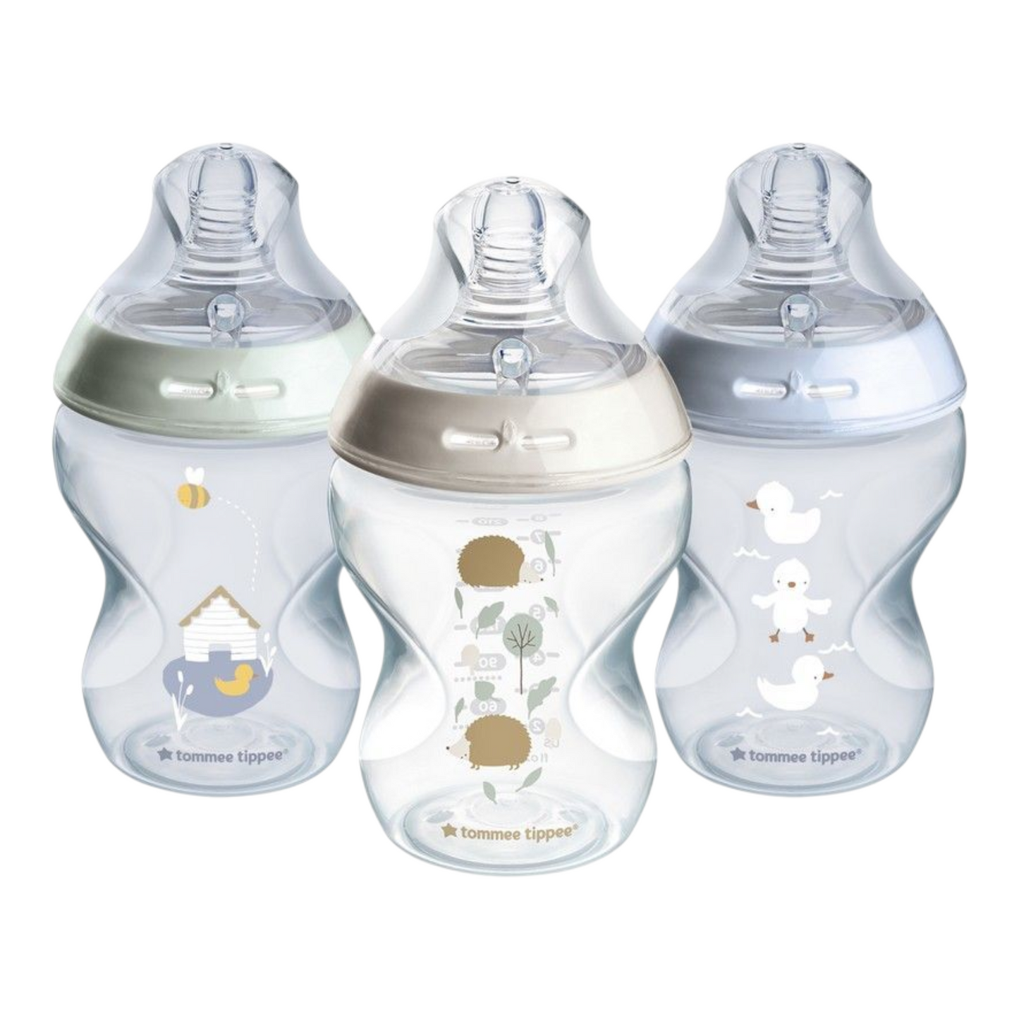 Pwid Tommee tippee 260ml bottle-Assorted