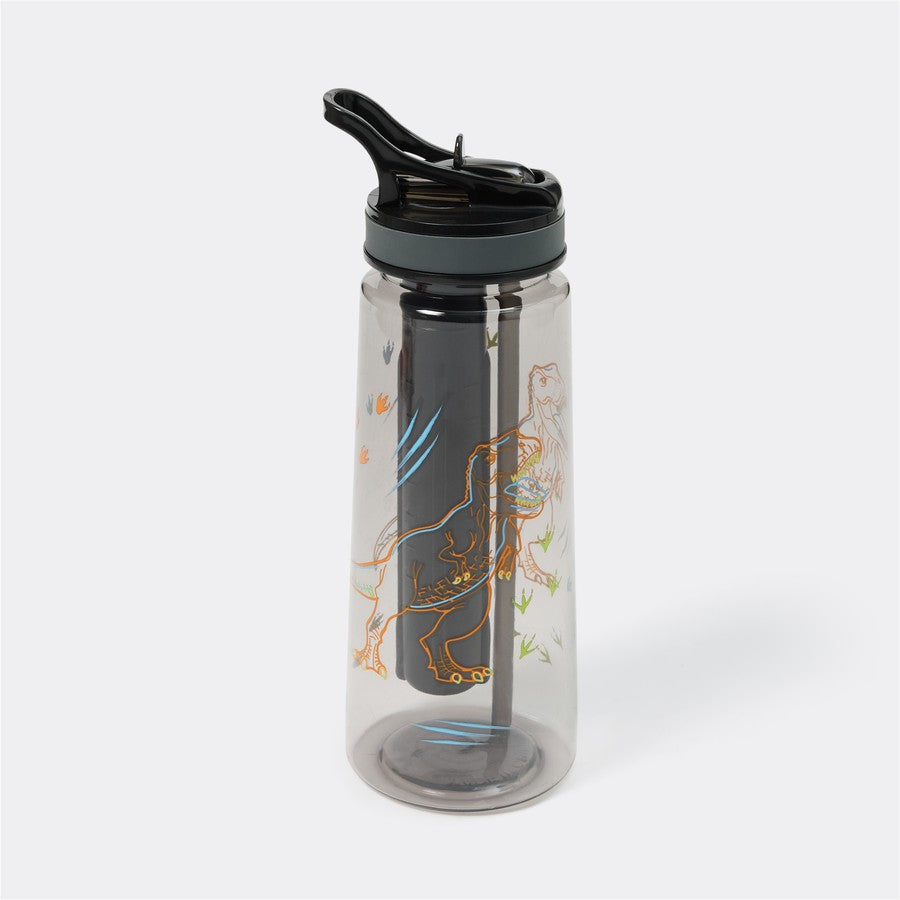 Brilliant Basics Drink Bottle with Freeze Stick 650ml - Black Dinosaur