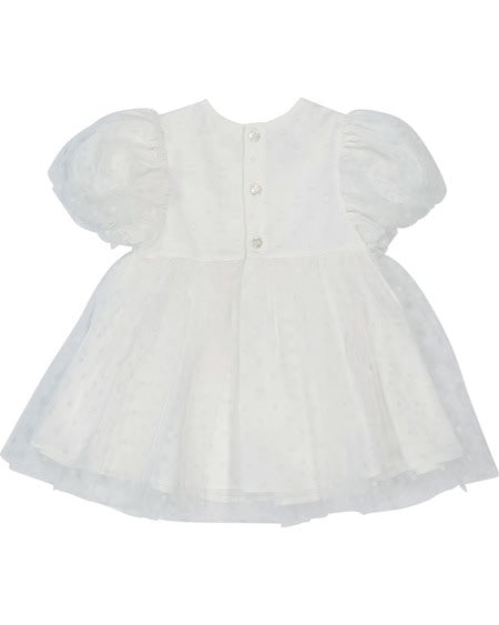 Baby Girl Special Occasion Dress