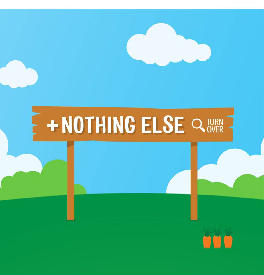 Rafferty's Garden Pear Puree & Nothing Else Baby Food Pouch 4+ Months 120g