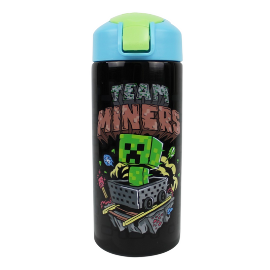 Minecraft Stainless Steel Vector Drink Bottle 577ml