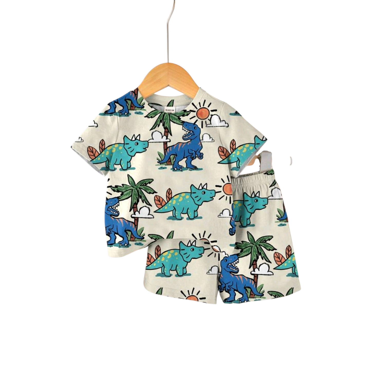 SHEIN 2pcs/Set Baby Boy Casual Cartoon Dinosaur Pattern Round Neck Short Sleeve T-Shirt And Shorts Set
