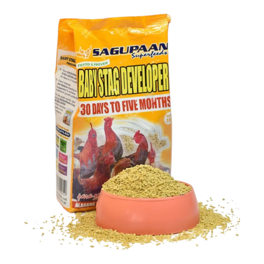 Baby Stag Developer Sagupaan, 1 Kilo